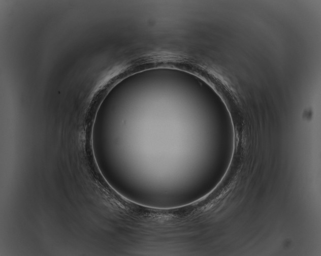 X0000095681309200801151117