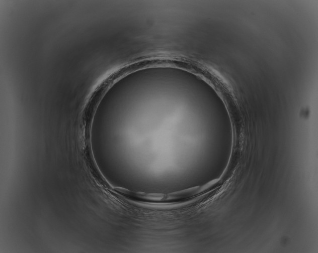 X0000095681310200801151117