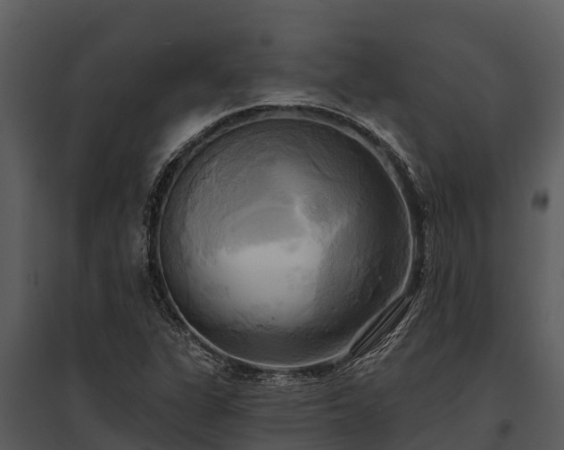 X0000095681311200801151117