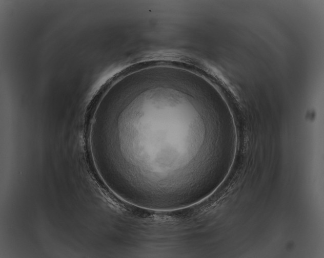 X0000095681312200801151117