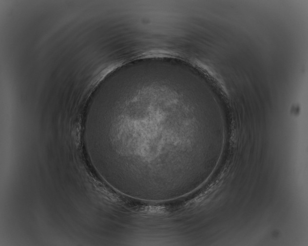 X0000095681313200801151117