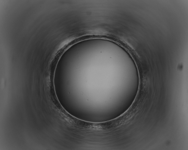 X0000095681315200801151117