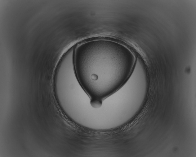 X0000095681316200801151117