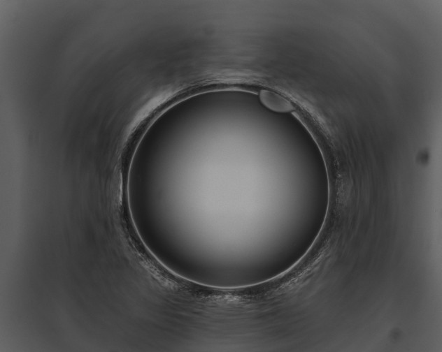 X0000095681317200801151117