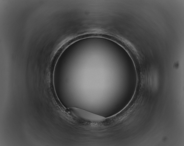 X0000095681318200801151117