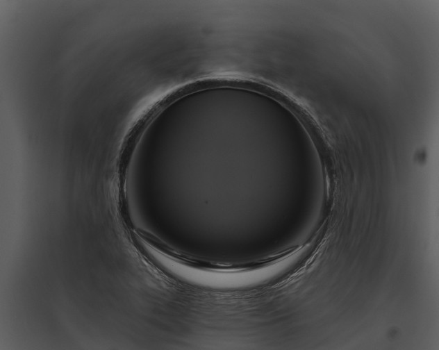 X0000095681319200801151117