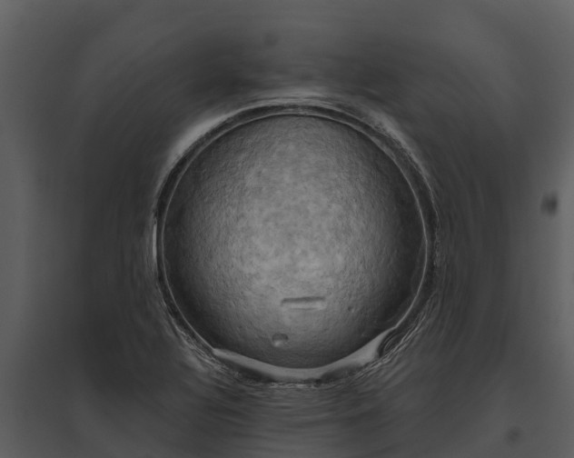 X0000095681320200801151117