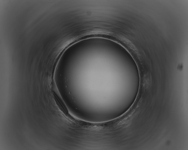 X0000095681321200801151117