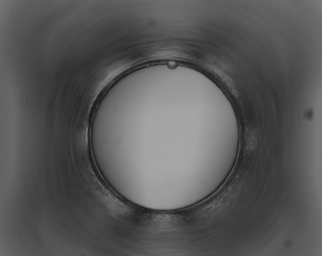 X0000095681322200801151117