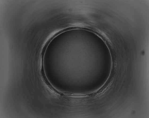 X0000095681323200801151117