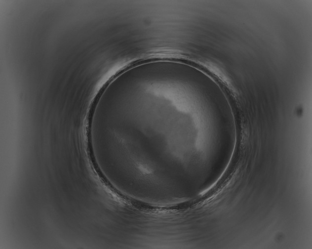 X0000095681325200801151117