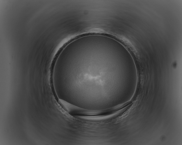 X0000095681326200801151117