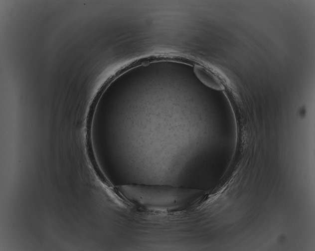 X0000095681327200801151117