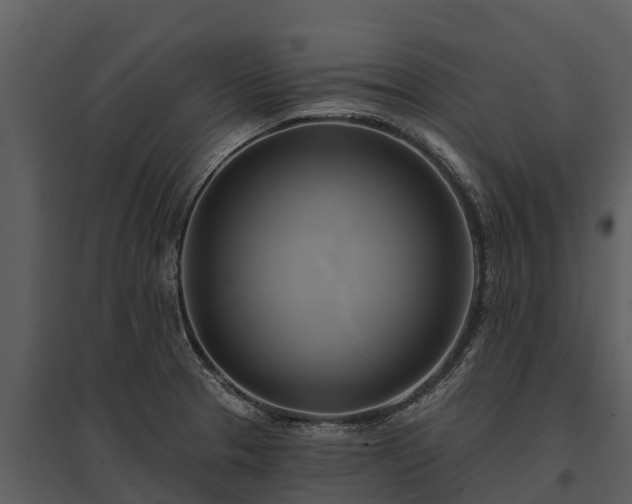 X0000095681329200801151117