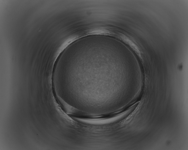 X0000095681330200801151117