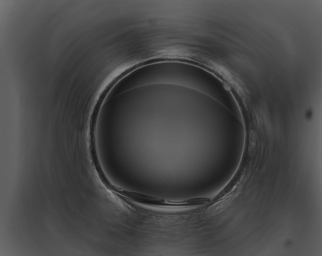 X0000095681331200801151117