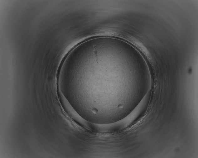 X0000095681332200801151117
