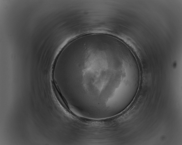 X0000095681333200801151117