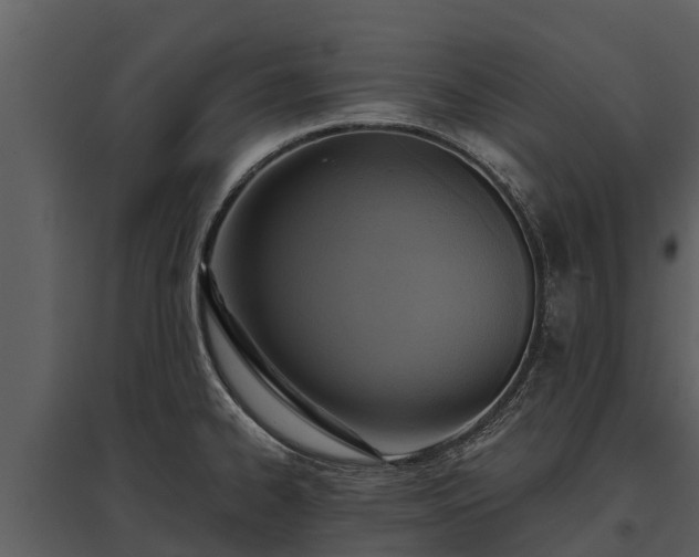 X0000095681334200801151117