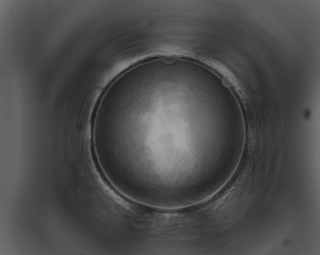 X0000095681335200801151117