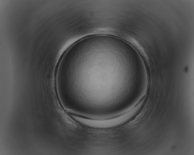 X0000095681336200801151117