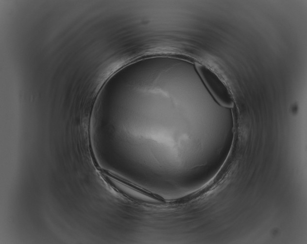 X0000095681337200801151117
