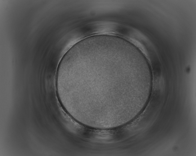 X0000095681338200801151117