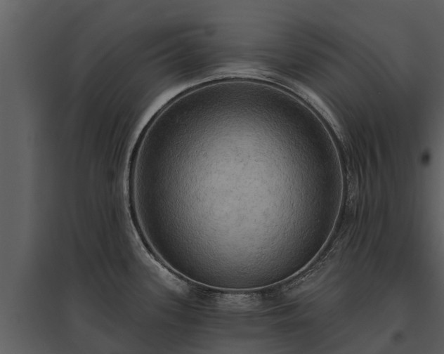 X0000095681339200801151117