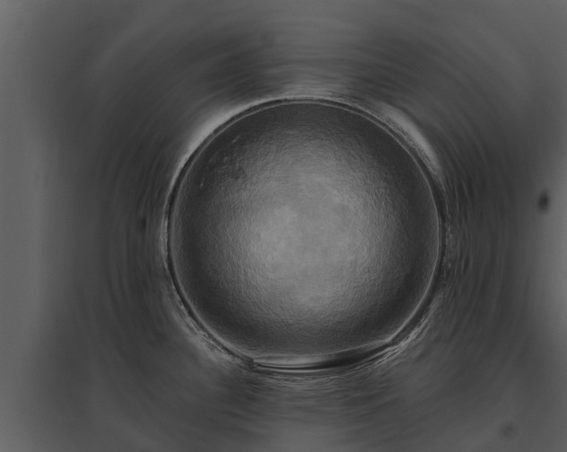 X0000095681340200801151117