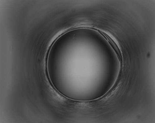 X0000095681341200801151117