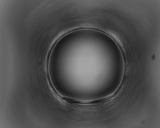 X0000095681342200801151117