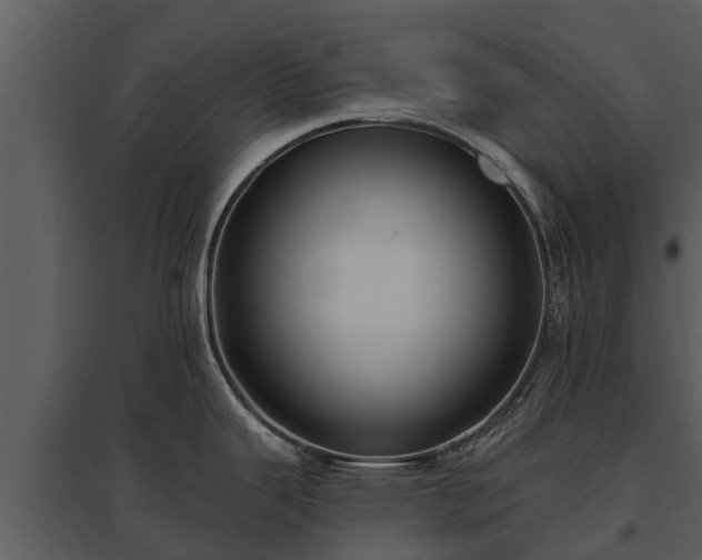 X0000095681343200801151117