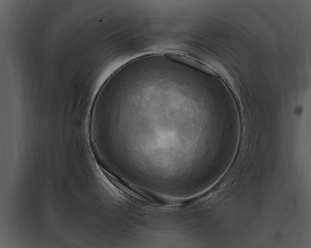 X0000095681344200801151117