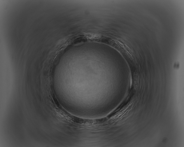 X0000095681345200801151117