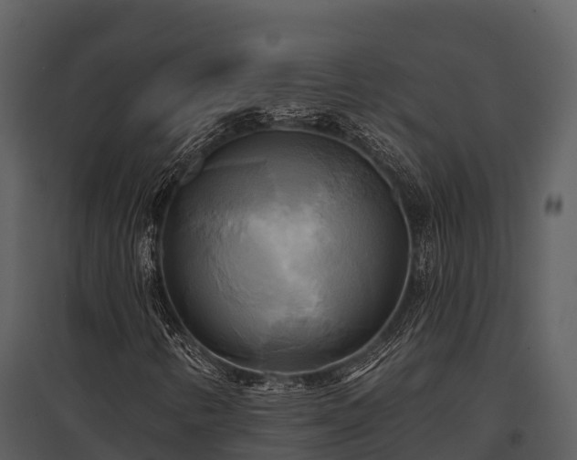 X0000095681346200801151117