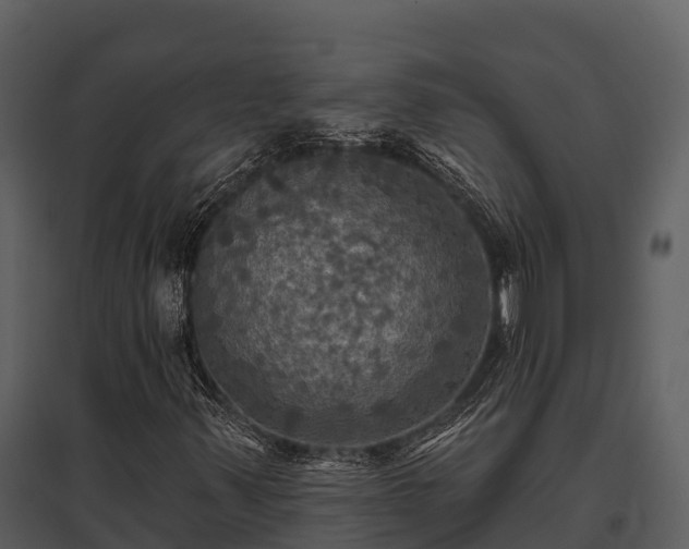 X0000095681347200801151117