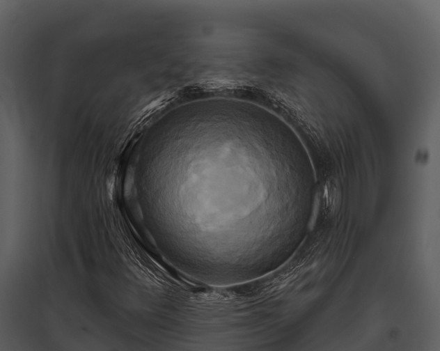X0000095681348200801151116