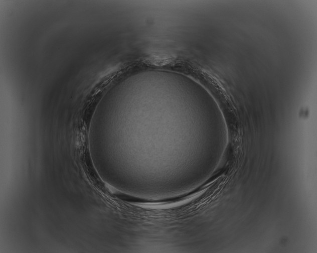 X0000095681349200801151116