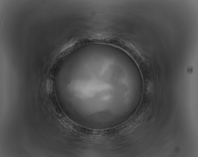 X0000095681350200801151116