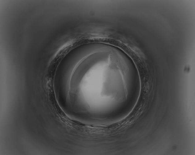 X0000095681351200801151116