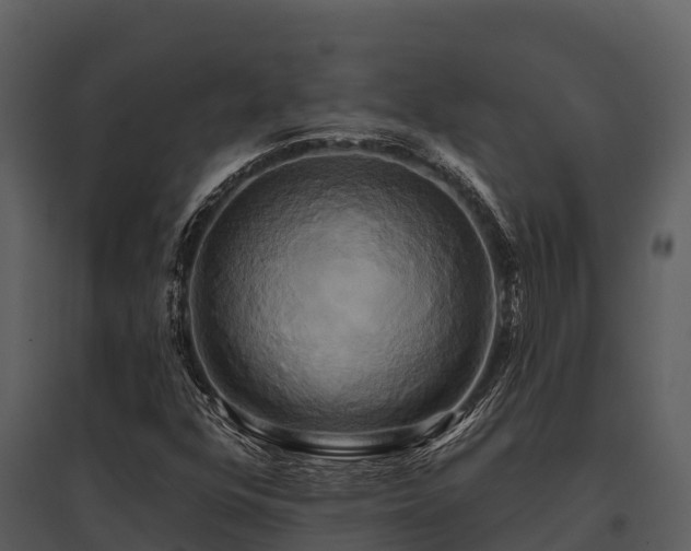 X0000095681352200801151116
