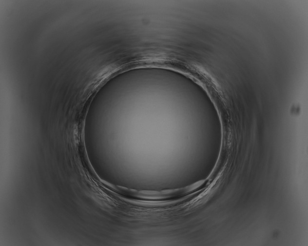 X0000095681353200801151116