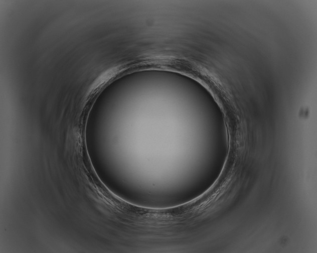 X0000095681354200801151116