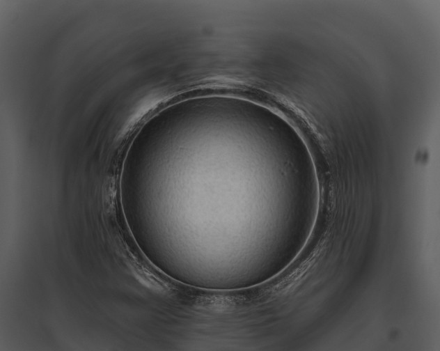 X0000095681355200801151116