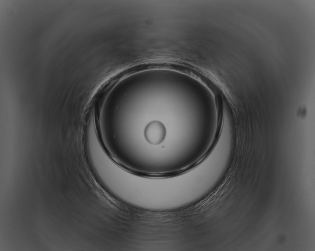 X0000095681356200801151116