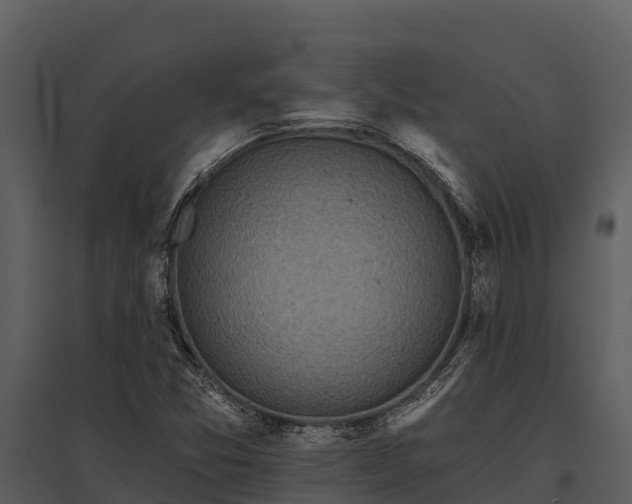 X0000095681357200801151116