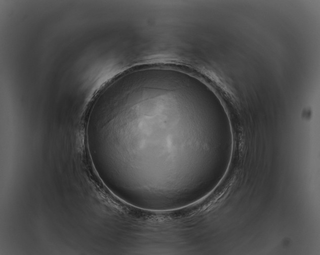 X0000095681358200801151116