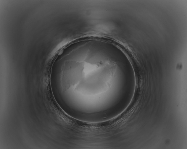 X0000095681359200801151116