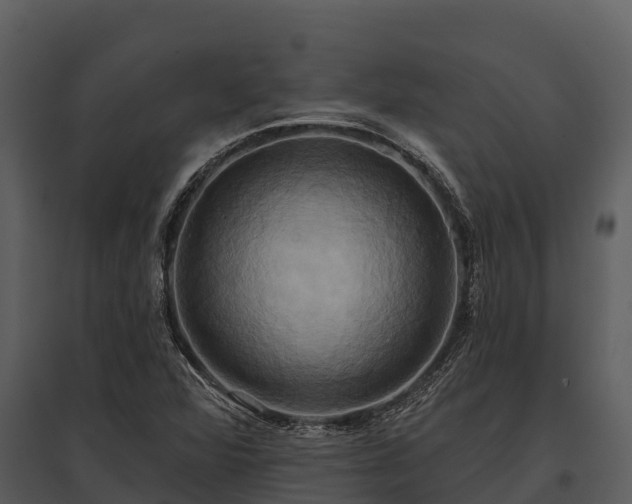 X0000095681360200801151116