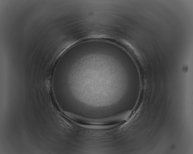 X0000095681361200801151116